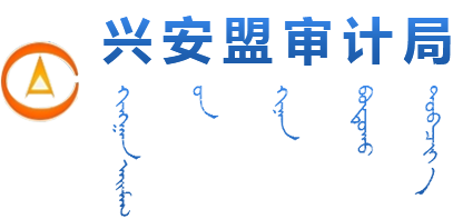 审计局logo